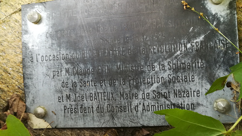 arbre de la liberté