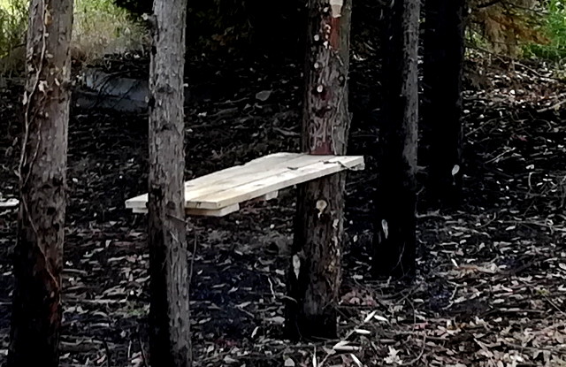 image from 2019-06-17 - apparition : un banc