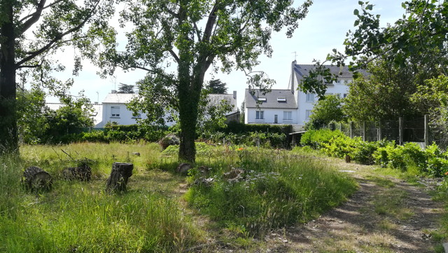 jardin