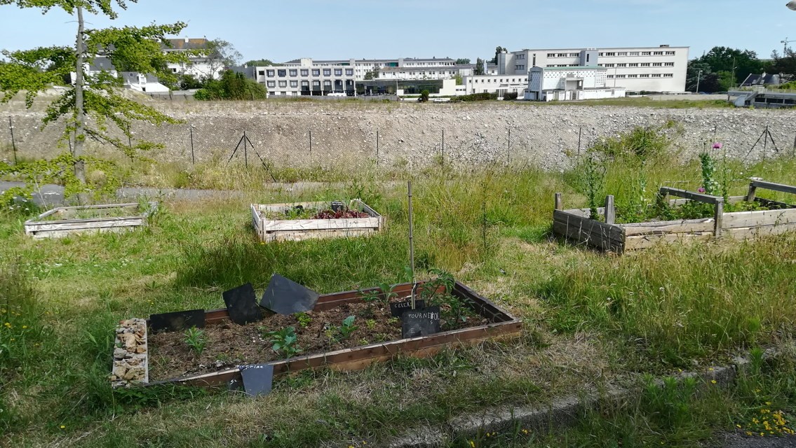 jardins