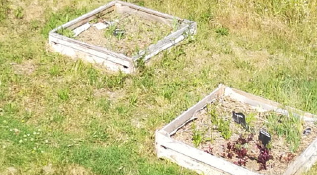 image from 2019-06-17 - le jardin panoramique
