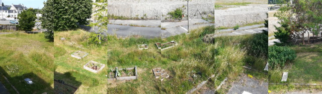 jardin