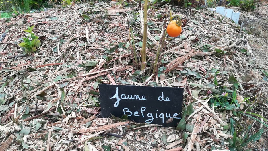 jardins