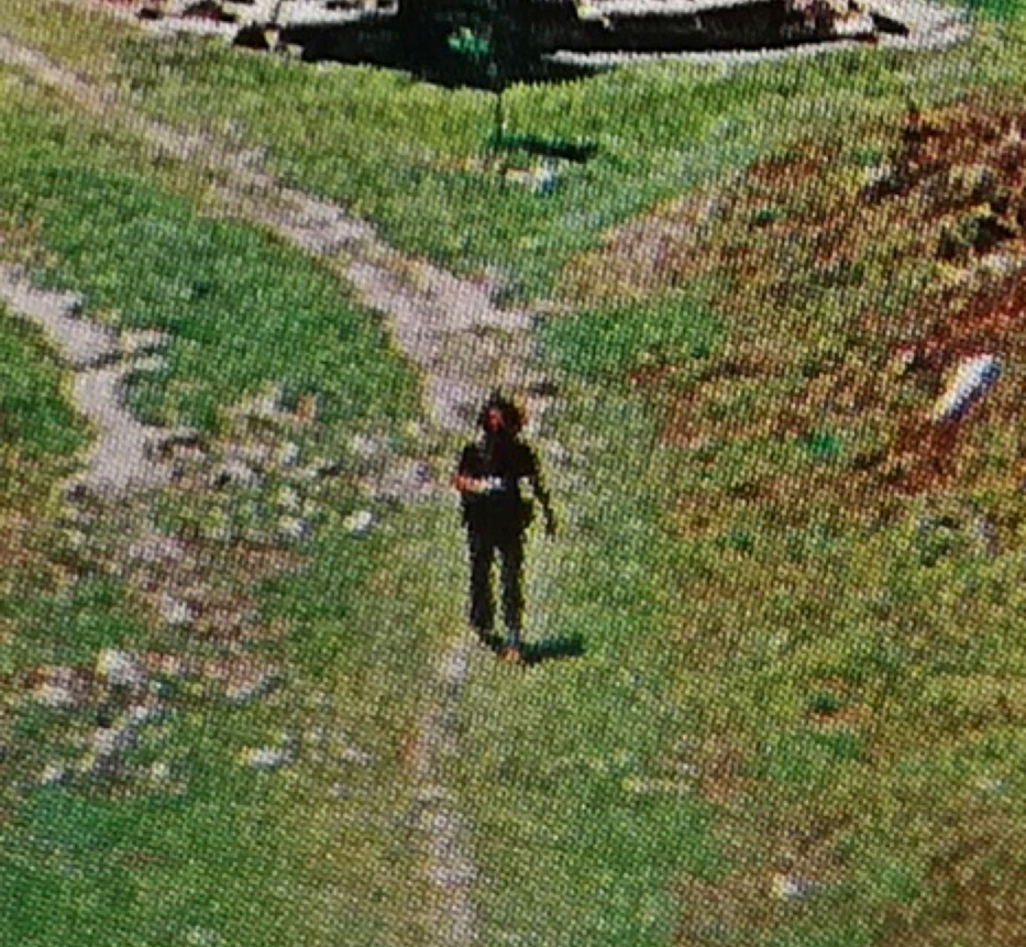 image from 08. LE LIEU : L'Arbre de la Liberté