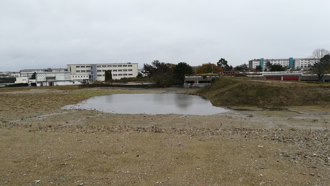 site