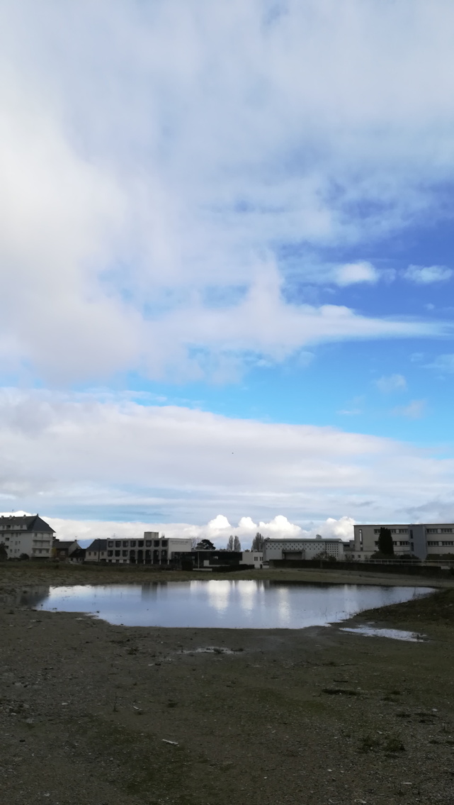 site