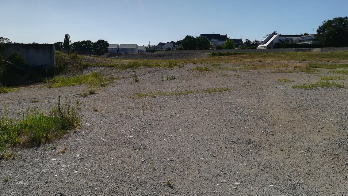 site