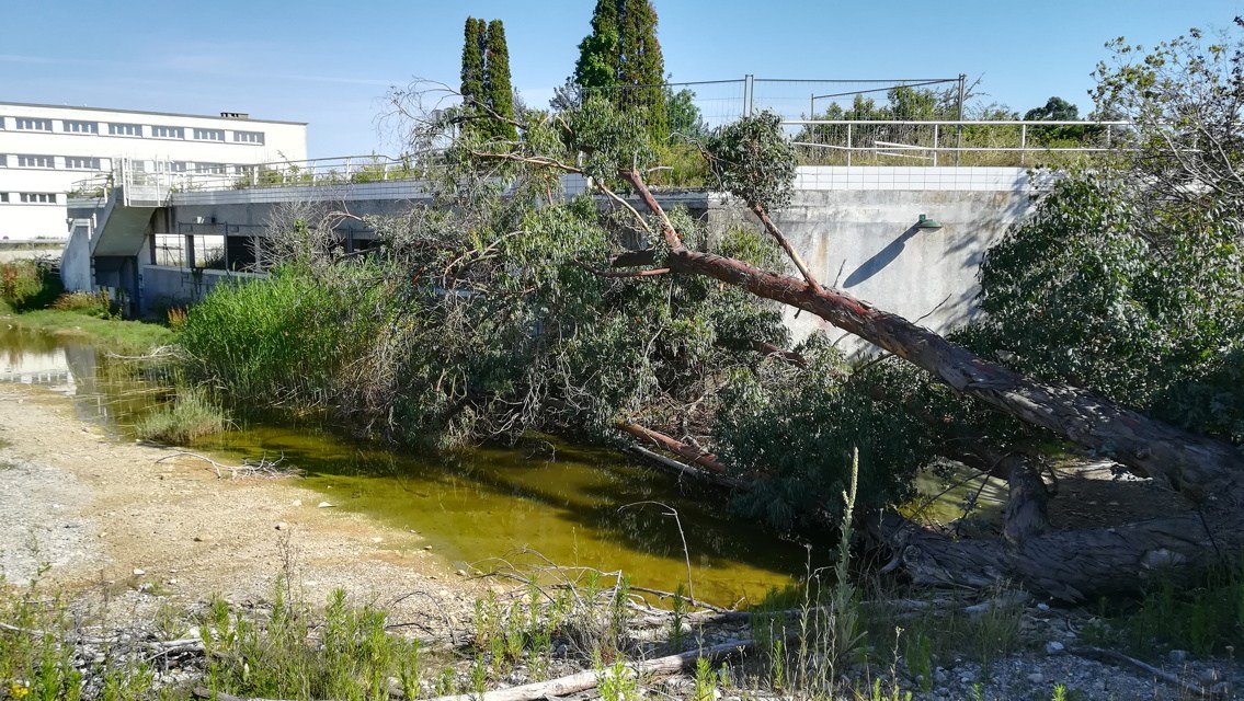 site