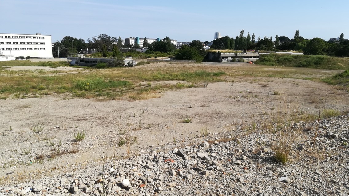 site