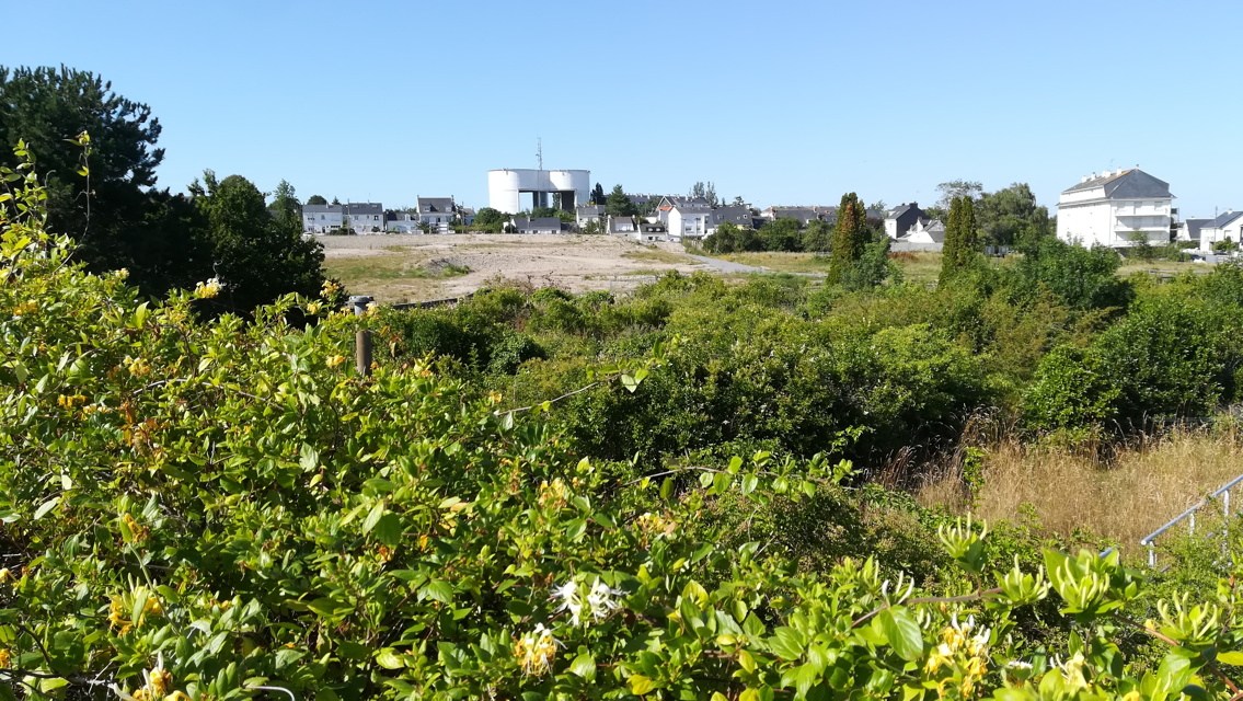 site