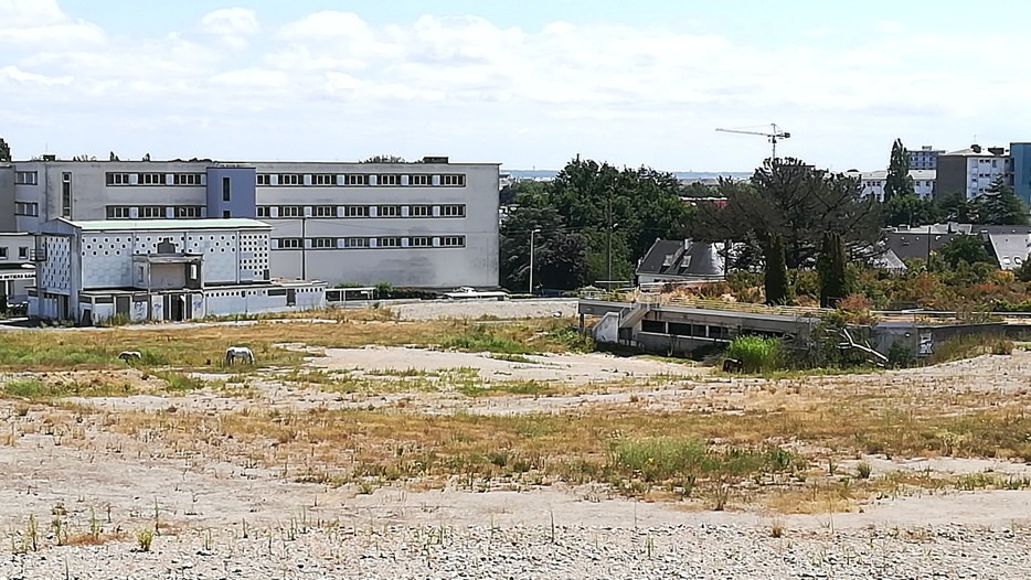 site