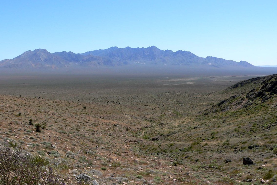 site