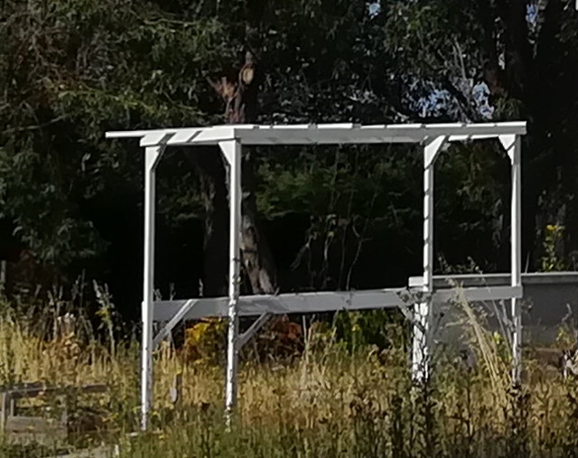 image from 2019-07-16 - apparition : la pergola