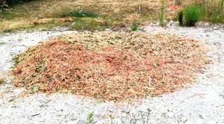 image from 2019-08-05 - Jardin des Mesures : pérégrination