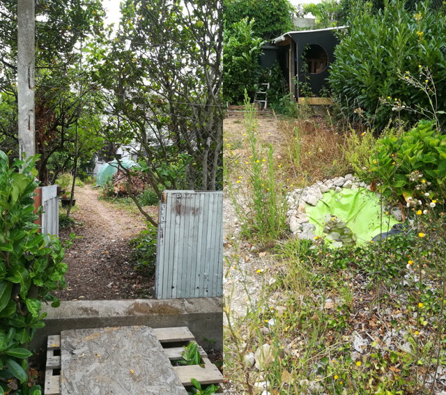 jardin