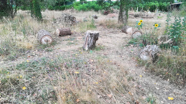 jardin