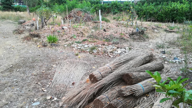 jardin