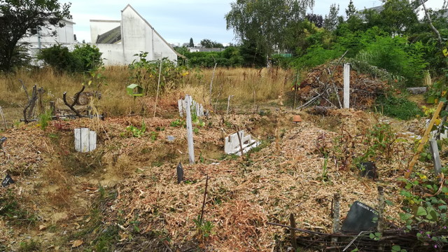 jardin