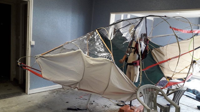 image from 2019-09-15 - une apparition : poisson ballon bâtisseur