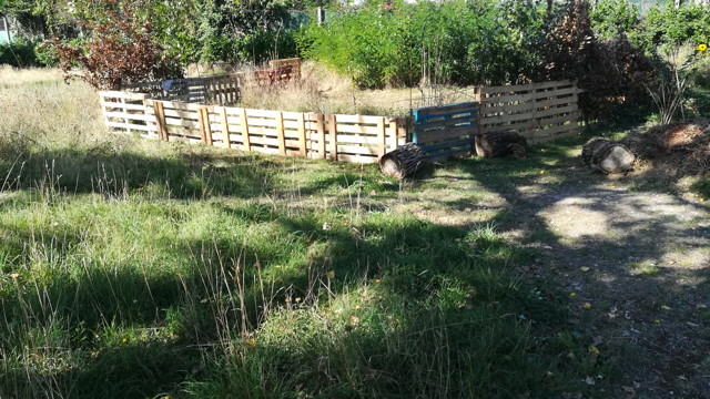 ruches