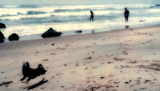 image from 2019-09-23 - Chantier : le lac dans le 89 - ép.6-3 - épisode chanté