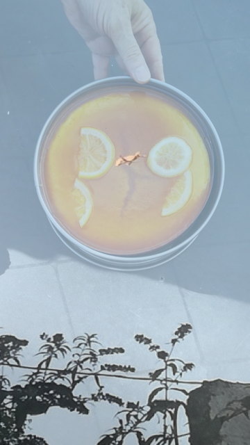 top