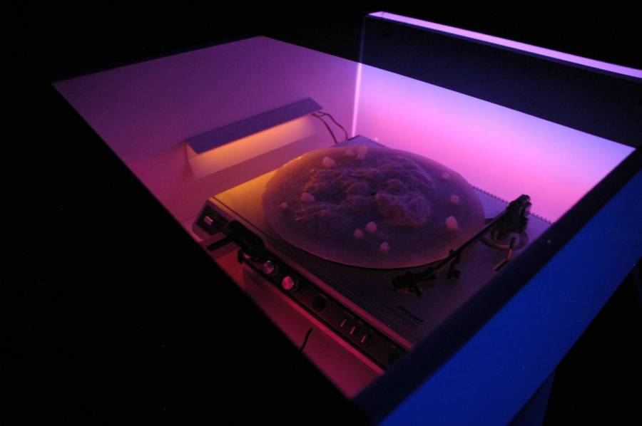 Florelle PACOT, the Roadfurrow, 2015, installation mécanique