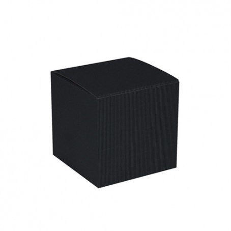 Le cube noir