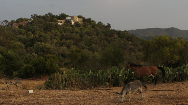 Berrocal