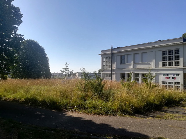 jardin