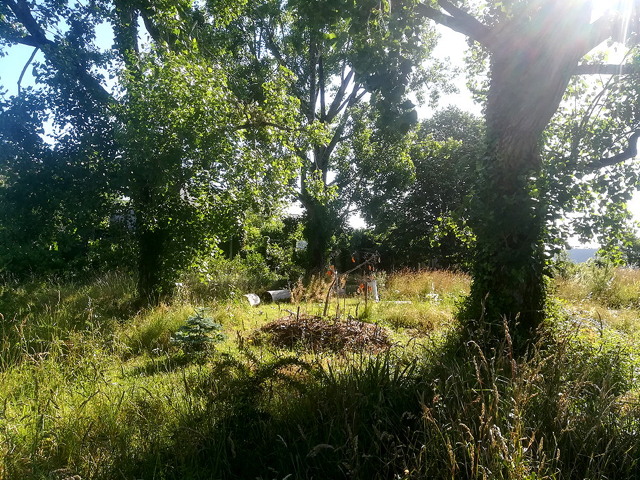 jardin