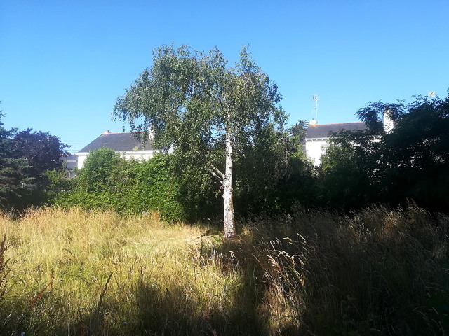 jardin