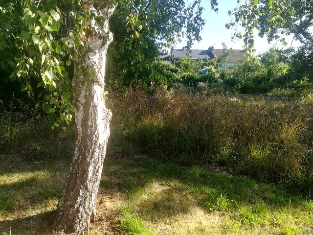 jardin