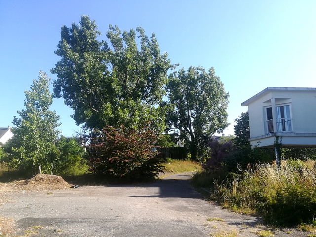 jardin