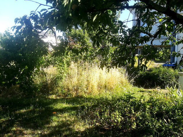 jardin