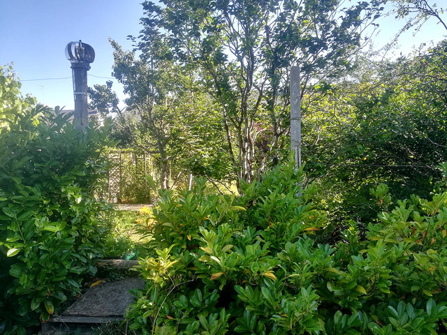 jardin