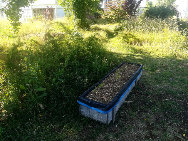 jardin