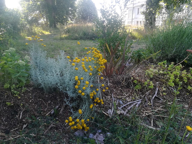 jardin