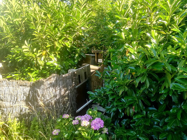 jardin
