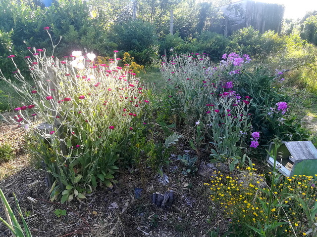 jardin