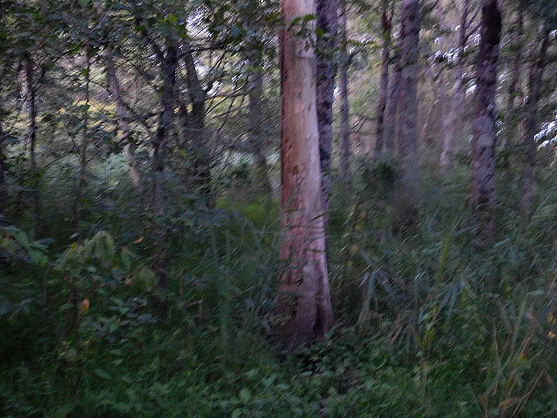 OS3