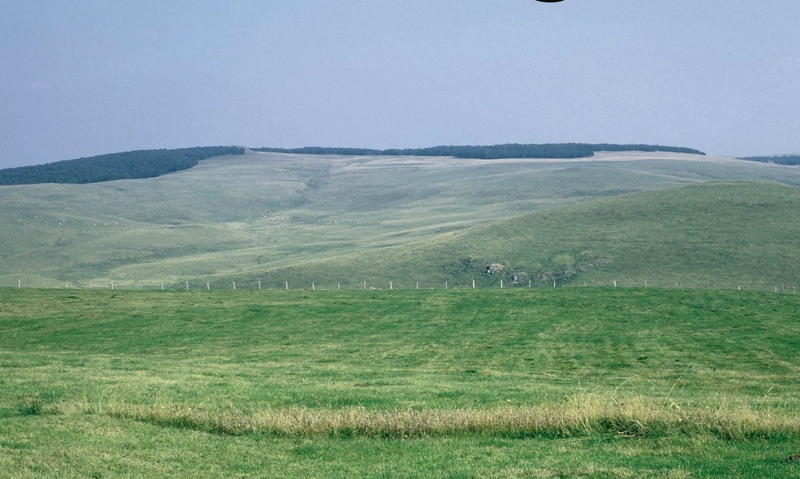 OS3