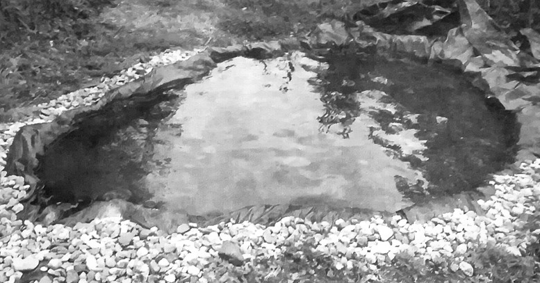 image from 2022-09-25 - RAD.3 - capillarité radiesthésique de la mare