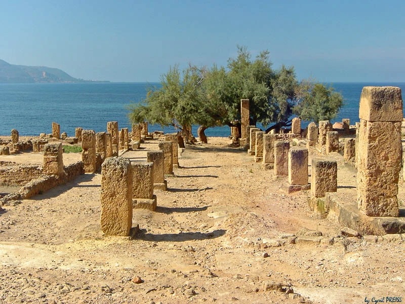 Tipasa