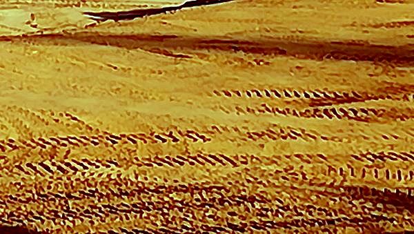 image from 2023-07-05 - Chantier de terraformation