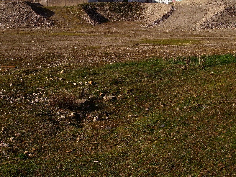 Ouesterne site du P
