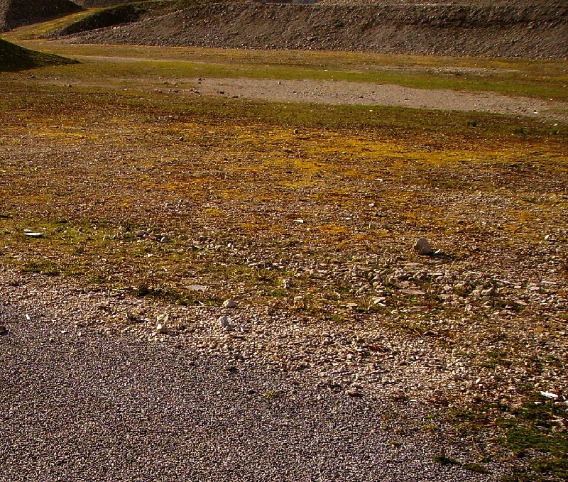 Ouesterne site du P