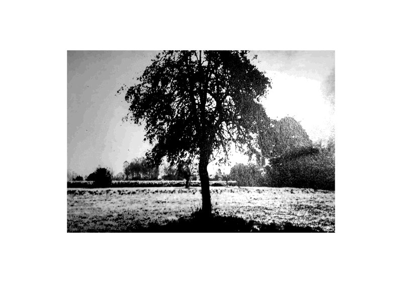 Ouesterne Kaffa