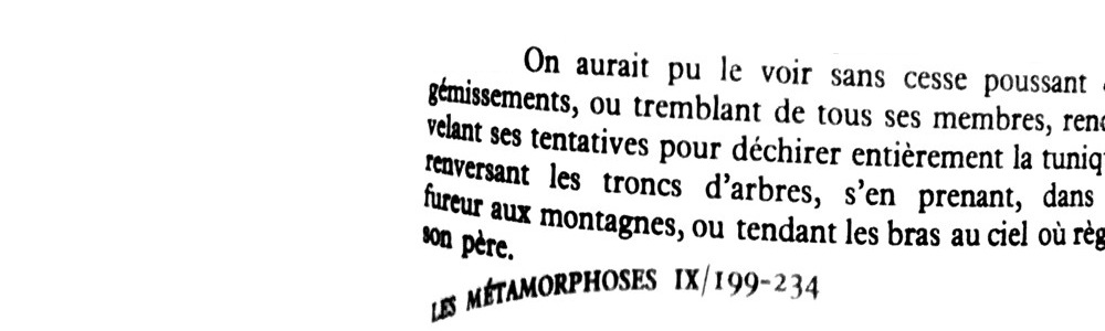 Ouesterne Kaffa