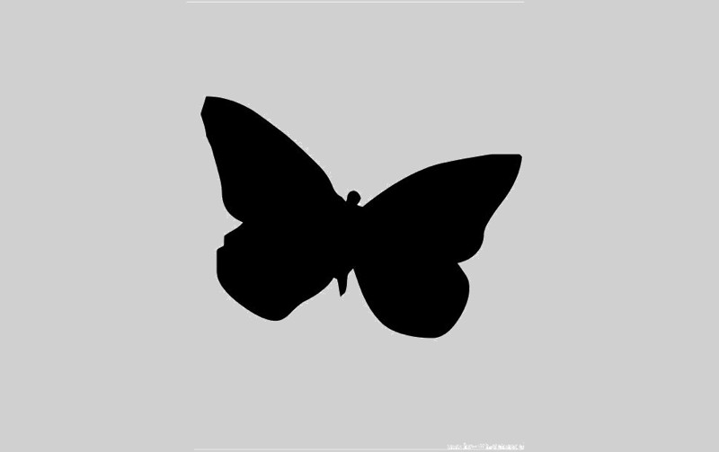 papillon